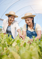 Image showing Agriculture, farming and women talking of plants in greenhouse for sustainability. Happy people or team work on farm for eco gardening, agro startup or organic food, vegetable or lettuce for wellness