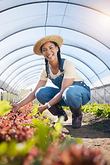 Image showing Portrait, agriculture and a farmer woman in a greenhouse for sustainability, organic growth or farming. Plant, smile and a female farm worker in an agro environment in the countryside for gardening