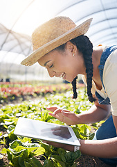 Image showing Woman, farming or smile with tablet in greenhouse for agriculture, gardening lettuce and vegetables plants. Farmer, digital tech and agro app for food production, inspection and sustainable business