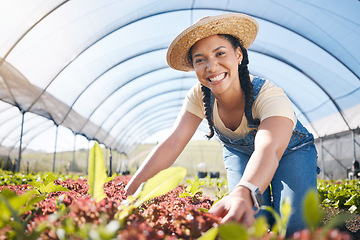Image showing Portrait, agriculture and a woman in a farm greenhouse for sustainability, organic growth or farming. Plant, smile and a female farmer working in an agro environment in the countryside for gardening