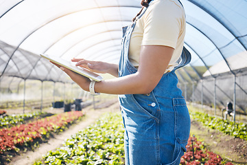 Image showing Hands, farming and agriculture with a tablet in a greenhouse for plants, innovation and sustainability. A farmer person with technology for e commerce, agro business management or food production app