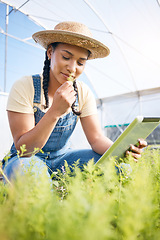 Image showing Woman, gardening and smell plants in greenhouse with tablet for agriculture, farming or sustainability. Happy farmer check growth of herbs for agro production, sustainable inspection and digital tech