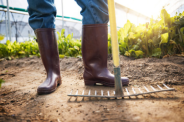 Image showing Farm, rake and boots of farmer in a garden working on sustainable produce for organic agriculture or food. Closeup, vegetables and person harvest fresh product for agro nutrition in the countryside