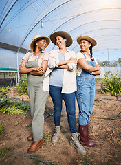 Image showing Farming, group of women in greenhouse with confidence at sustainable small business and agriculture. Happy farmer team at vegetable farm, agro pride and diversity with eco friendly organic plants.