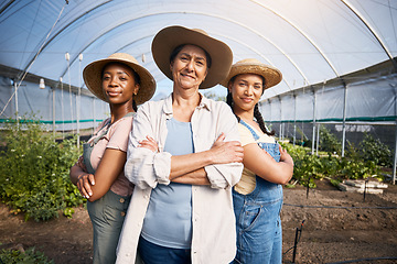 Image showing Farming, portrait of group of women with confidence in greenhouse and sustainable small business in agriculture. Happy farmer team at vegetable farm, agro growth diversity and eco friendly plants.