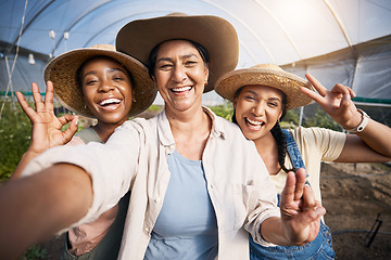 Image showing Gardening, selfie of group of women in greenhouse and sustainable small business in agriculture. Happy farmer team at vegetable farm, photography and diversity with eco friendly organic agro plants.