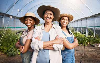 Image showing Farming, portrait of group of women in greenhouse and sustainable small business in agriculture. Happy farmer team at vegetable farm, agro career growth and diversity with eco friendly organic plants