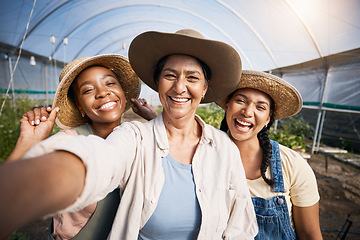 Image showing Farming, selfie of group of women in greenhouse and sustainable small business in agriculture. Happy farmer team at vegetable farm, photography and diversity with eco friendly organic agro plants.