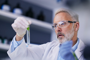 Image showing Scientist, senior man and plant with test tube and sustainability research for agriculture in a laboratory. Leaf, data analysis and glass with eco science and studying medical and ecology exam