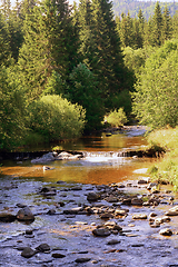 Image showing beautiful river in Apuseni Natural Park