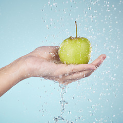 Image showing Person, hands and apple in water drops for diet, healthy wellness or eating plan against a blue studio background. Closeup of model holding natural organic green fruit in shower, health or nutrition