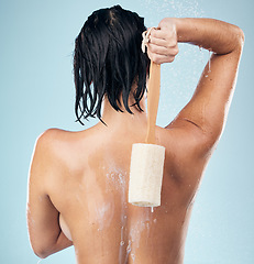 Image showing Shower, back and woman with loofah in studio for body care, wellness and cleaning on blue background. Hygiene, skincare and behind female model with scrub in a bathroom for cosmetic treatment or wash