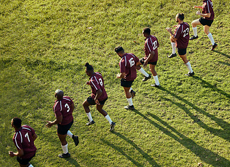 Image showing Sports, team and men in field for training, workout and exercise on grass for rugby competition. Fitness, collaboration and line of athletes stretching for practice, match and game or challenge