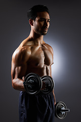 Image showing Fitness, dark and a man with weights on a black background for muscle, health and exercise. Sports, idea and an Asian bodybuilder or strong athlete doing weightlifting for training with power