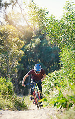 Image showing Forest, race and man cycling in training for a race competition on biking path, trail or nature. Action, sports or fast cyclist athlete riding bicycle at speed for cardio exercise, fitness or workout