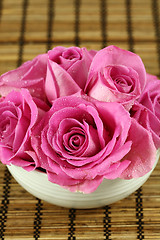 Image showing Pink roses