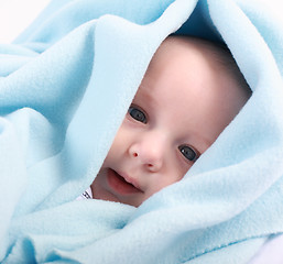 Image showing Adorable newborn portrait