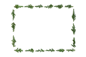 Image showing Juniper Fir Winter Christmas Background Frame