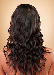 Image showing Hair, woman and balayage, back with beauty and cosmetics, shampoo and salon treatment isolated on studio background. Texture, wellness and haircare, curly hairstyle and cosmetology with growth