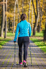 Image showing Nordic walking