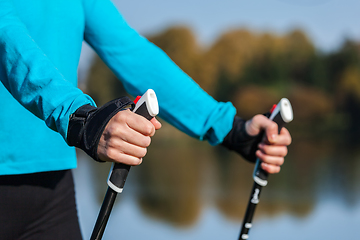 Image showing Closeup of woman's hand with nordic walking poles