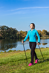 Image showing Nordic walking