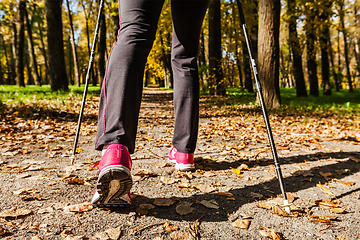 Image showing Nordic walking