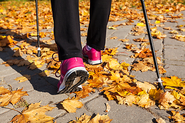 Image showing Nordic walking