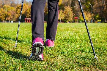 Image showing Nordic walking