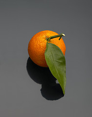 Image showing Tangerine