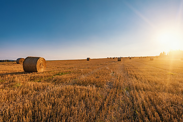 Image showing Straw bales stacked in a field at summer time in sunset