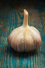 Image showing Garlic