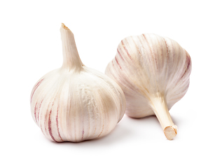 Image showing Garlic isolated