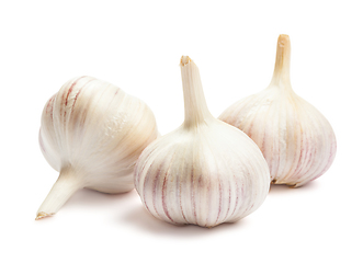 Image showing Garlic isolated