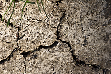 Image showing dried earth texture