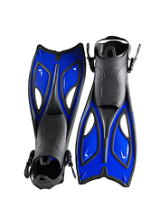 Image showing Black blue fins.