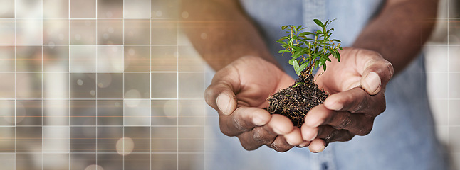 Image showing Soil, overlay and hands of business person for investment, agriculture and economy. Health, profit and future with closeup of employee and plant on banner for hope, sustainability and earth day