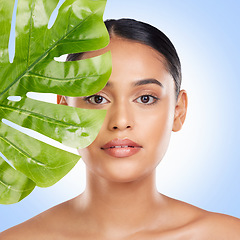 Image showing Woman, face and natural beauty with palm leaf, sustainable skincare isolated on blue background. Wellness, skin glow and eco friendly cosmetics, green and product from nature with portrait in studio