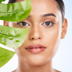 Image showing Woman with palm leaf, face and natural beauty with sustainable skincare isolated on white background. Wellness, skin glow and eco friendly cosmetics with green product, nature and portrait in studio