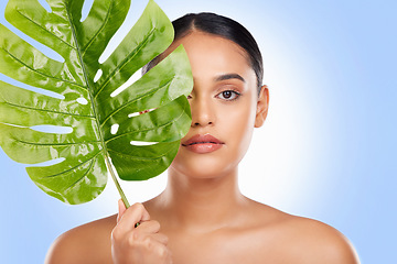 Image showing Woman with palm leaf, portrait and natural beauty with sustainable skincare isolated on white background. Wellness, skin glow and eco friendly cosmetics with green product, nature and face in studio