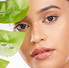 Image showing Woman, portrait and plants for natural skincare, cosmetics and facial beauty on a white background. Person with green leaf for eco friendly and vegan dermatology, makeup and face skin care in studio