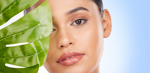 Image showing Woman with palm leaf, face and beauty, sustainable skincare and natural isolated on blue background. Wellness, skin glow and eco friendly cosmetics with mockup space, dermatology portrait in studio