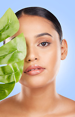 Image showing Palm leaf, woman face and natural beauty, sustainable skincare and cosmetics isolated on blue background. Wellness, skin glow and eco friendly product with portrait, dermatology and green in studio