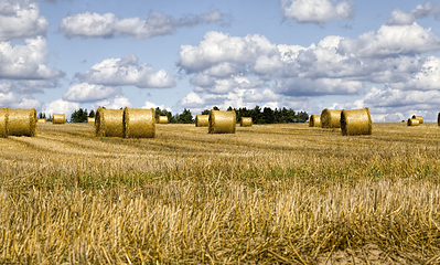 Image showing agricultural field after harvesting