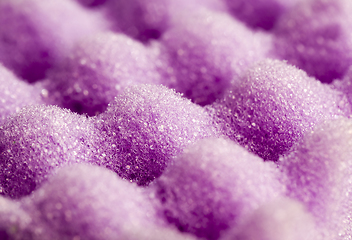 Image showing purple sponges