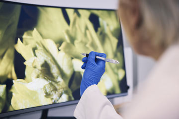 Image showing Science, hand and computer monitor in a laboratory for research, innovation or sustainability. Technology, future and ecology with a scientist in a lab to study biology or plant life closeup