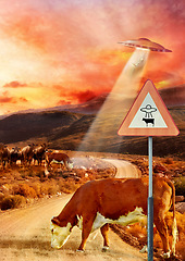 Image showing Ufo, spaceship light and cow abduction in countryside for mission, science fiction and fantasy in sky. Spacecraft, field and flying saucer from outer space for invasion, futuristic and mystery