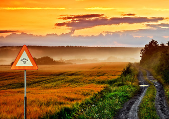 Image showing Alien, spaceship sign and road in nature for UFO warning, science fiction and space abduction. Area 51, travel and signage for extraterrestrial caution in countryside, meadow and natural landscape