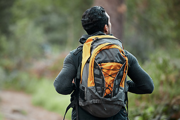 Image showing Man, backpack and walking with back, view and camping travel in the forest for holiday. Exercise, trekking workout and hiking in the woods for vacation with freedom on nature path and a journey