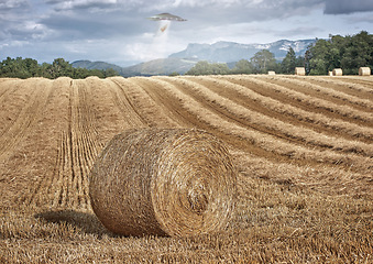 Image showing UFO, farm and field with alien spaceship invasion, hay or tractor beam light for research. UAP, flying saucer and interstellar travel in nature, grass or countryside for survey, inspection or flight